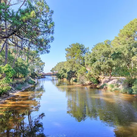 Daire Loc Ty Soustons