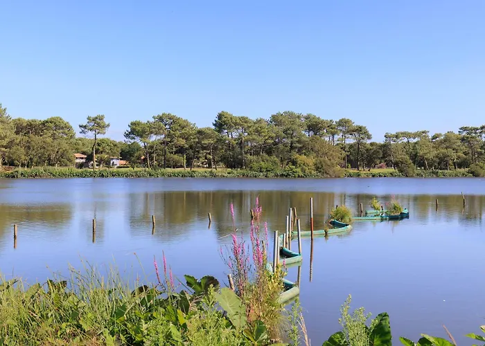 Loc Ty Appartement *